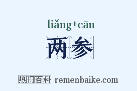 两参是什么意思的图片
